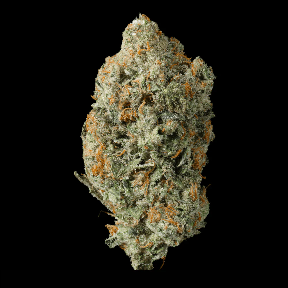 Hybrid