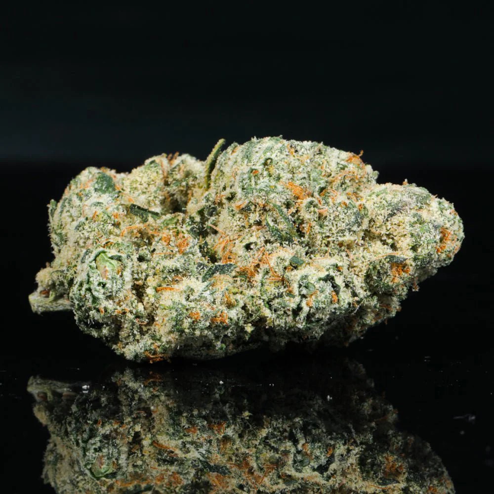 Sativa