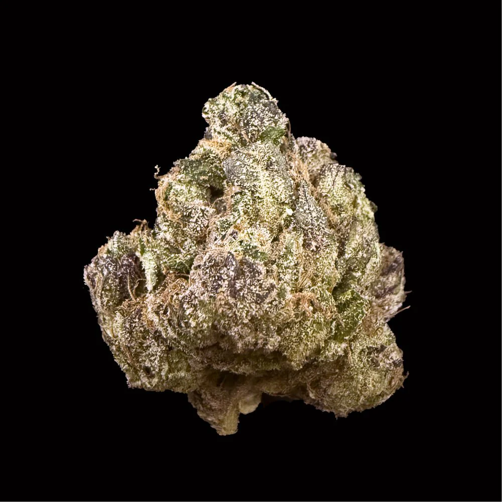 Indica